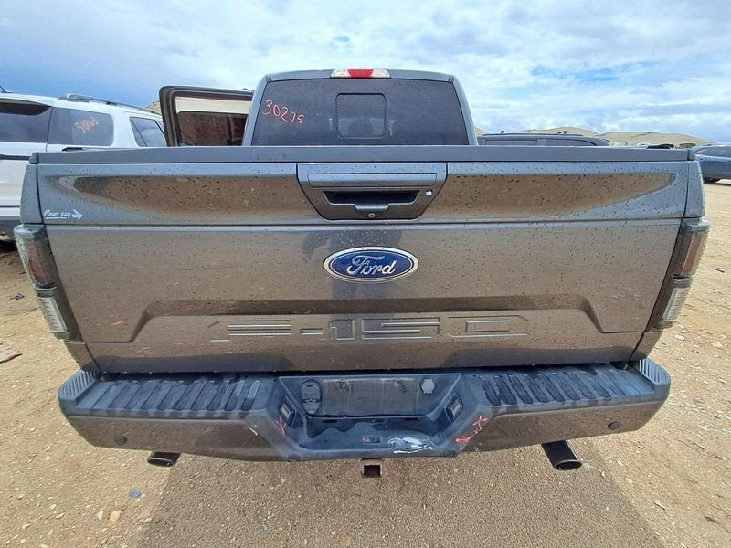 2019 FORD TRUCK-F150 Used Tailgate/Trunk Lid - w/o aluminum trim panel; (rear view camera), tailgate step, w/o remote tailgate release - GRY (J7)