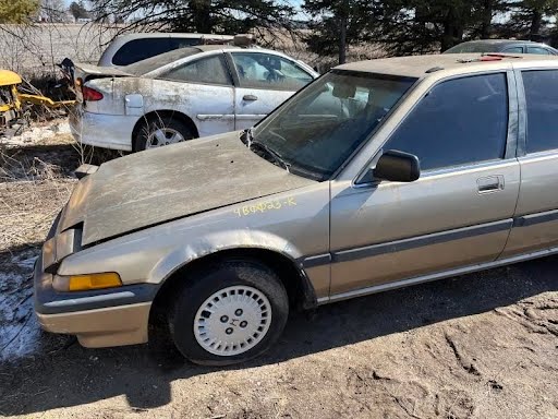 1986 - HONDA ACCORD - Used - Front Door Moulding -  LXi Sedan 4-Door