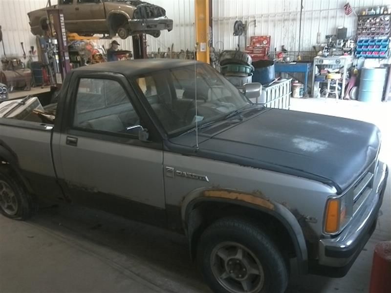 1990 - DODGE DAKOTA - Used - Oil Dipstick - (Base Convertible 2-Door 3.9L)