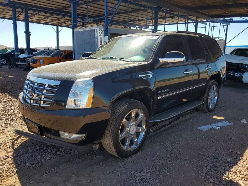 2013 Cadillac Escalade-EXT Door Moulding Front Left & Right; Luxury, Premium & base