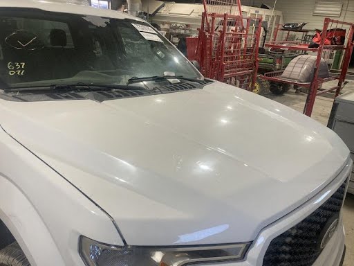 2019 FORD TRUCK-F150 Used Hood White