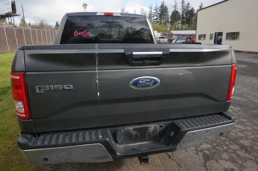 2017 FORD TRUCK-F150 Used Tailgate/Trunk Lid w/o aluminum trim panel; w/o tailgate step; rear view camera, w/o remote tailgate release  GRAY - J7