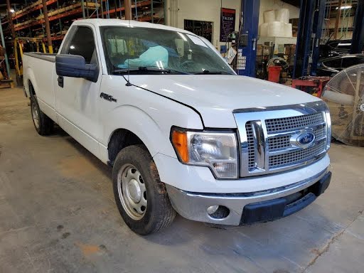 2012 - FORD TRUCK-F150 - Used - Tailgate/Trunk Lid - (Styleside box), w/o aluminum trim panel; w/o tailgate step; w/o rear view camera