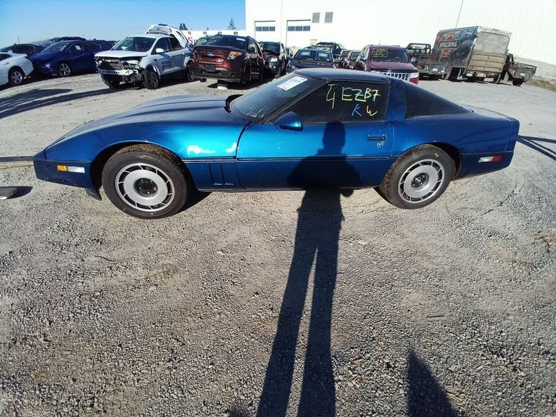 1984 CHEVY CORVETTE Used Interior Trim Panel Door (Front) LH - [complete] with the glass rubber please