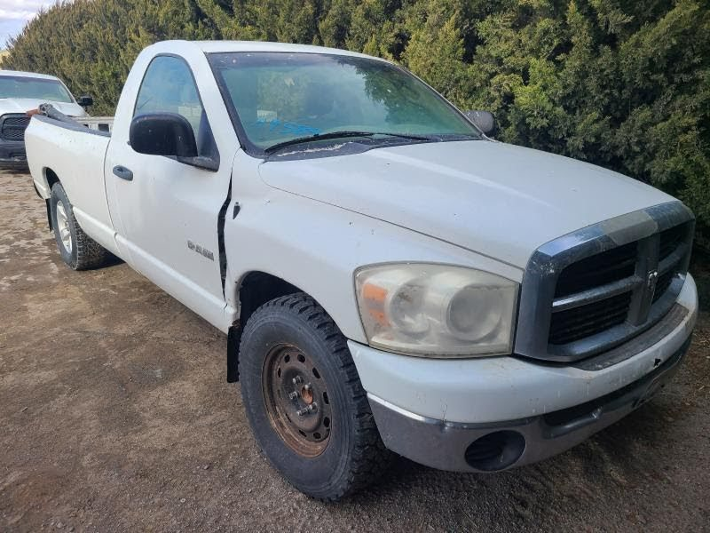 2008 DODGE TRUCK-1500 (1994 UP) Used Door Front Regular Cab (2 Dr), LH, electric White