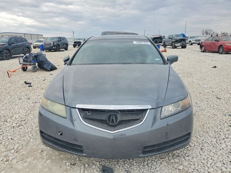 2008 ACURA TL Used Front Door Moulding P/n- 08P05SEP260