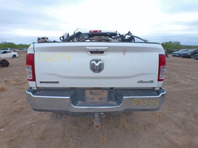 2019 DODGE TRUCK-2500 SERIES (1994 UP) Used Tailgate/Trunk Lid (rear view camera), Ram's head (emblem)  - White